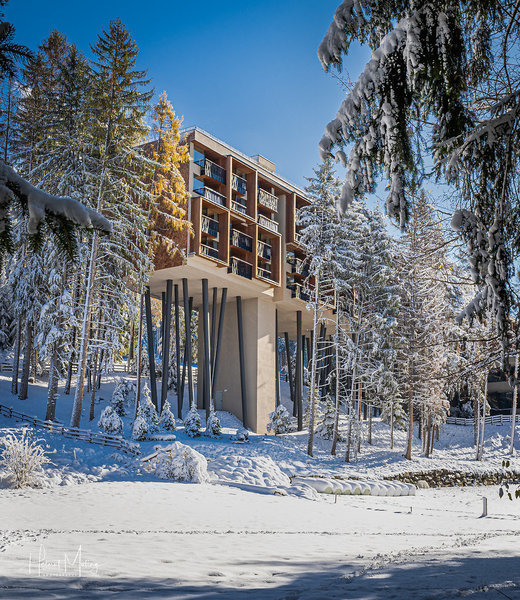My Arbor in Südtirol-Trentino - Dolomiten