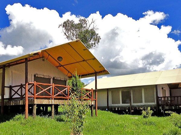 Ashnil Mara Camp in Masai Mara All Inclusive Ferien