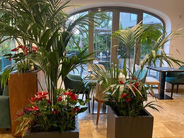 The Village Boutique & Spa in Naxxar All Inclusive Ferien