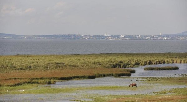 Seewirt & Haus Attila in Wien