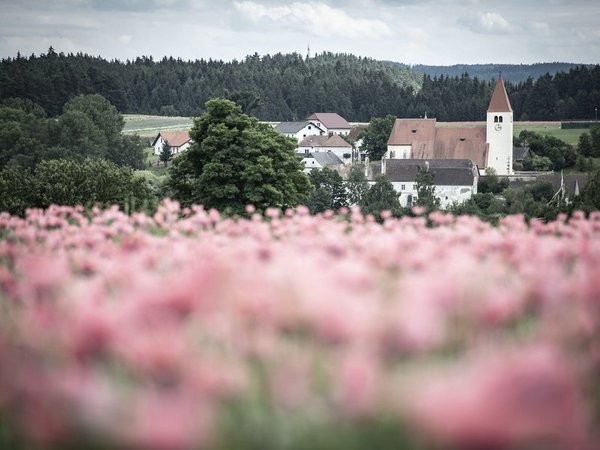 Faulenzerhotel in Friedersbach