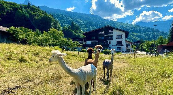 AlpenApart Haus Engstler in Tschagguns