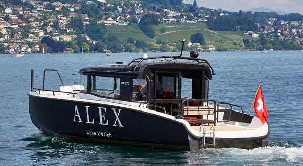 Alex Lake Zürich in Zürich