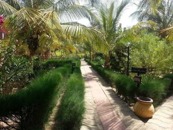 Hotel Club Royal Saly in M'bour All Inclusive Ferien