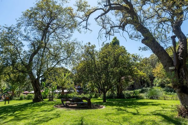 Four Seasons Hotel The Westcliff, Johannesburg in Johannesburg All Inclusive Ferien