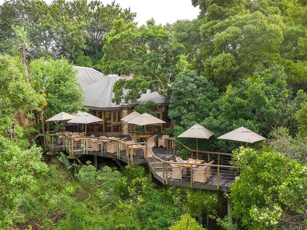 Tsala Treetop Lodge in Kapstadt All Inclusive Ferien