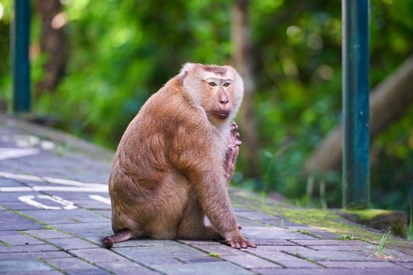 Seabed Grand Hotel Phuket in Phuket