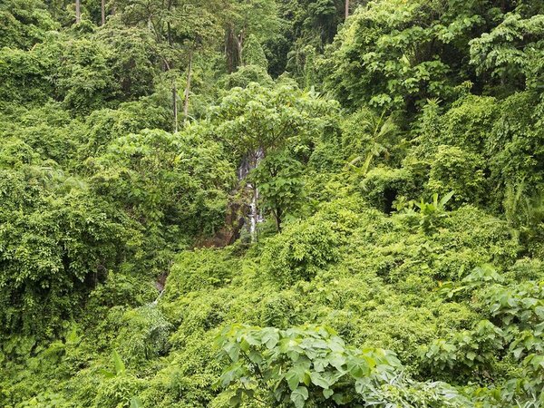 Sylvan Koh Chang in Trat