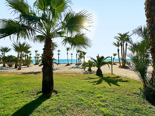 Club Hotel Palm Azur in Midoun All Inclusive Ferien