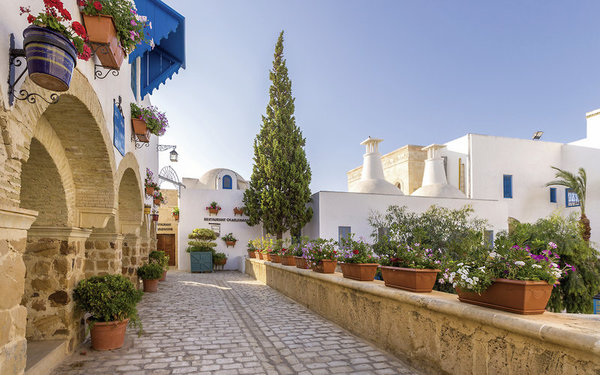 Diar Lemdina Hotel in Tunis