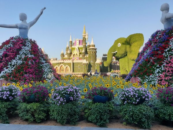 FIVE Jumeirah Village Dubai in Dubai