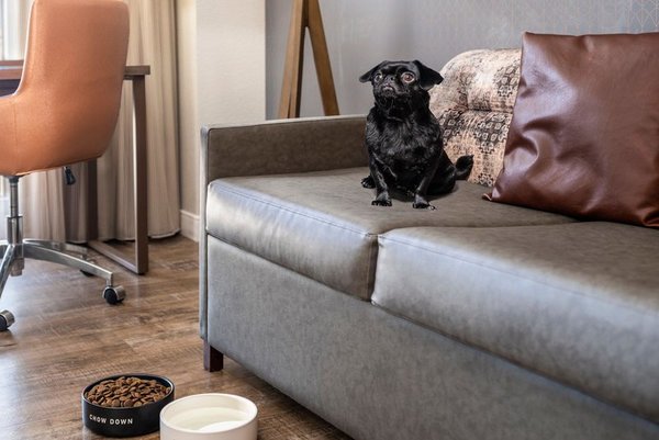 Residence Inn Austin Downtown/Convention Center in Austin All Inclusive Ferien